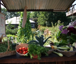 Farm-Stand-August-2012