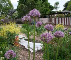 Garden-Flowers